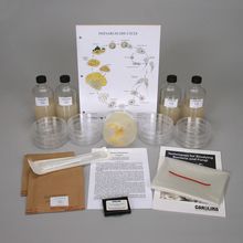 Physarum Culture Kit