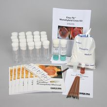 Carolina Easy Fly Monohybrid Cross Kit (with Perishables)