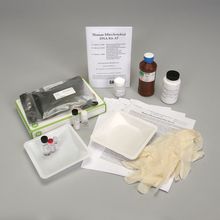DNALC Human Mitochondrial DNA Kit (AT)