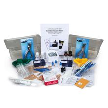 Carolina Beyond the Tape&trade;: Golden River Heist Interdisciplinary Kit