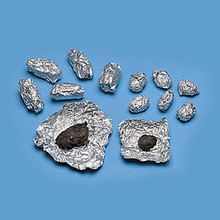 Large Owl Pellet
