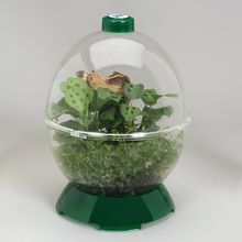 WonderBubble Habitat