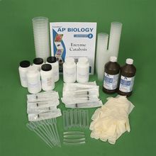enzymes are biological catalysts ap bio essay enzymes are biological catalysts ap bio essay