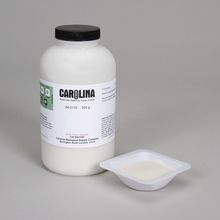Ammonium Phosphate Monobasic, Laboratory Grade, 500 g