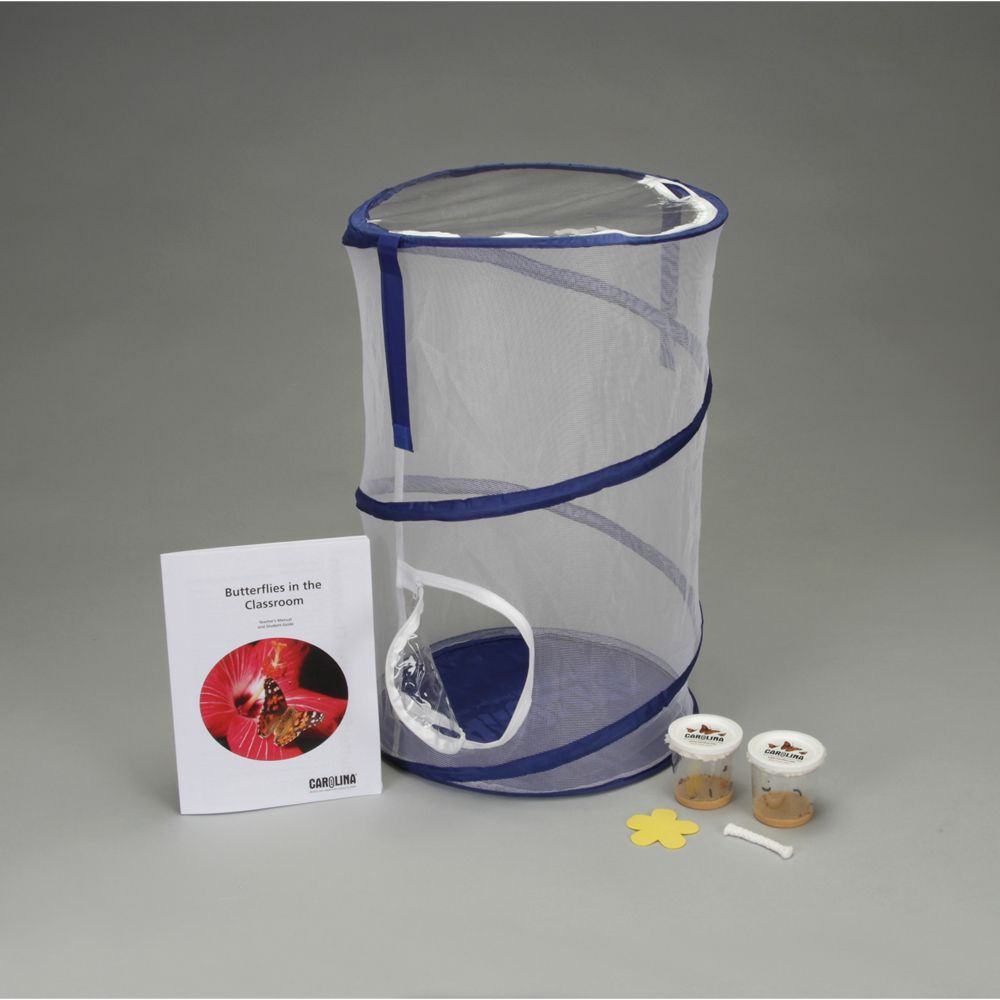 Butterflies in the Classroom Demo Kit (with live caterpillars and food