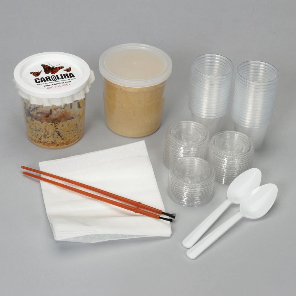 Butterflies in the Classroom Kit Refill
