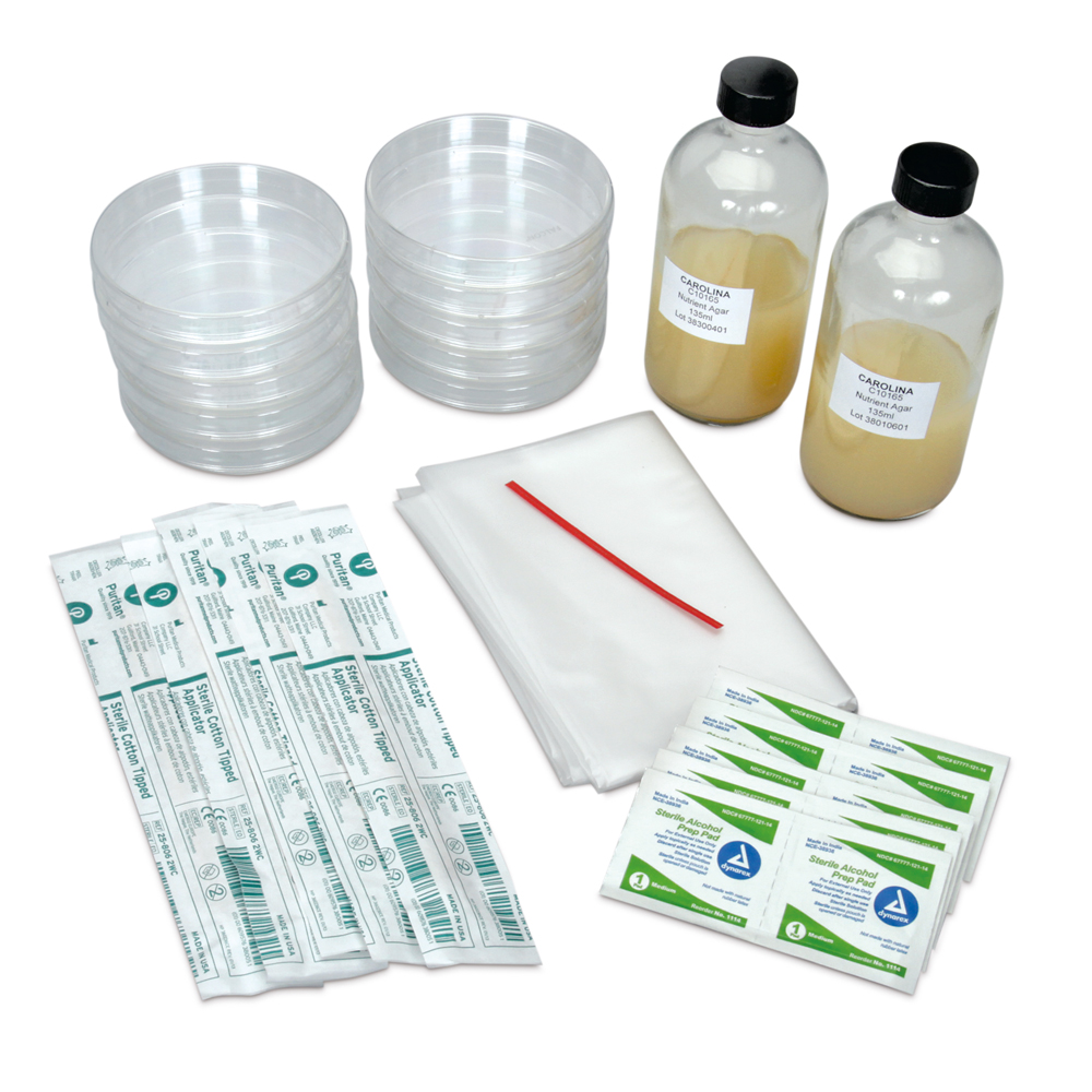 Student Materials Set: Bacteria