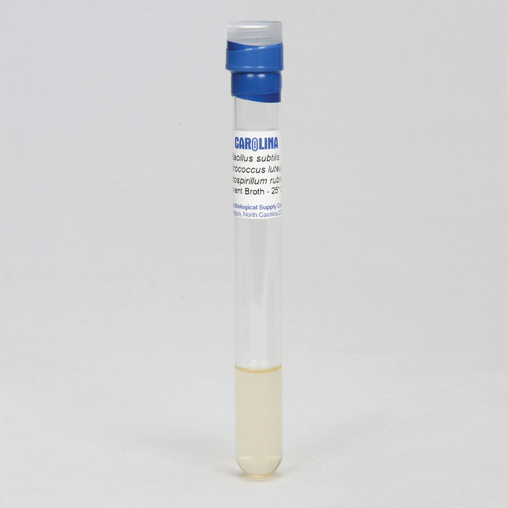 Mixed Suspension of Introductory Bacteria, Living