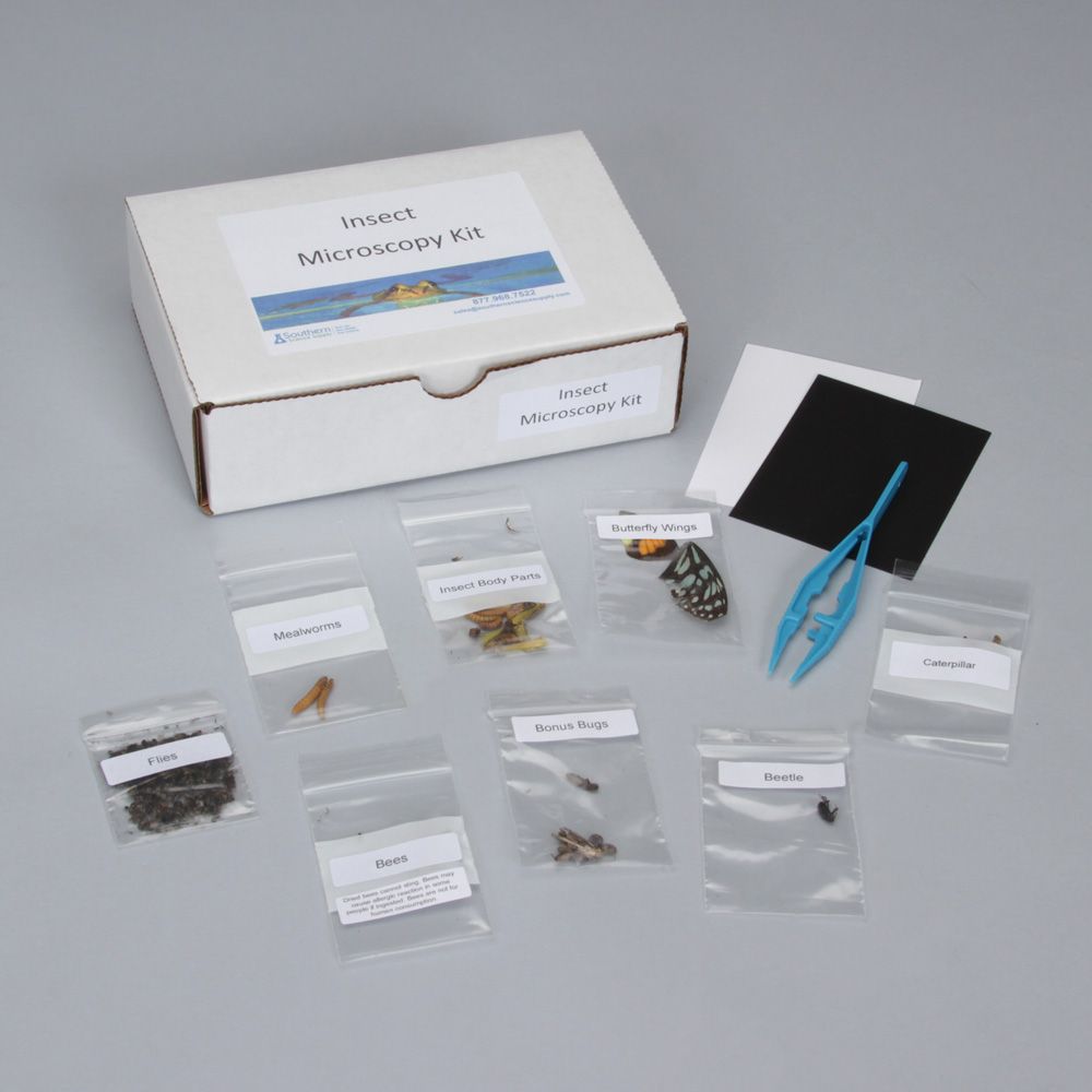 Insect Observation Materials Kit