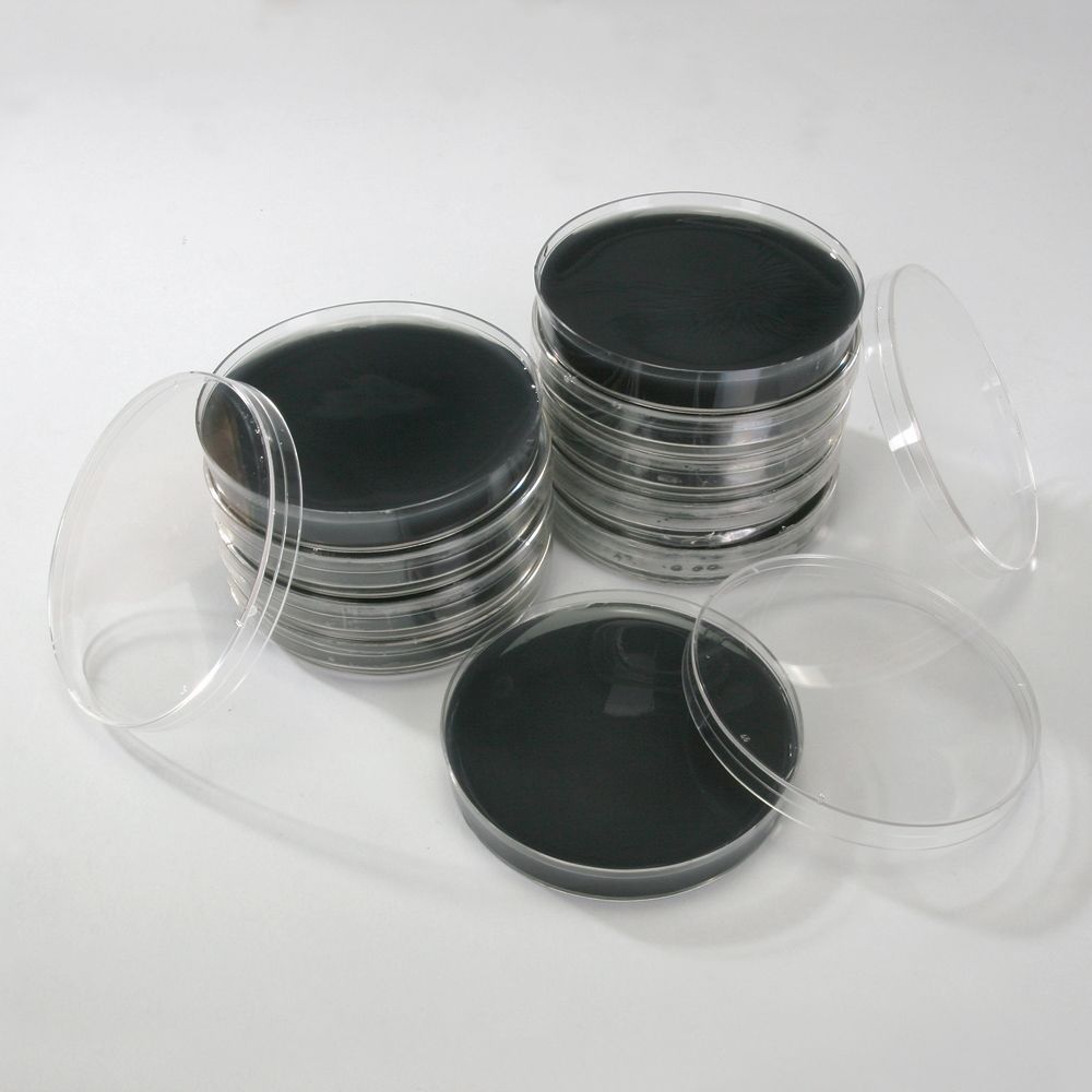 Black Agar Plates, for Small Seed, Pack of 10