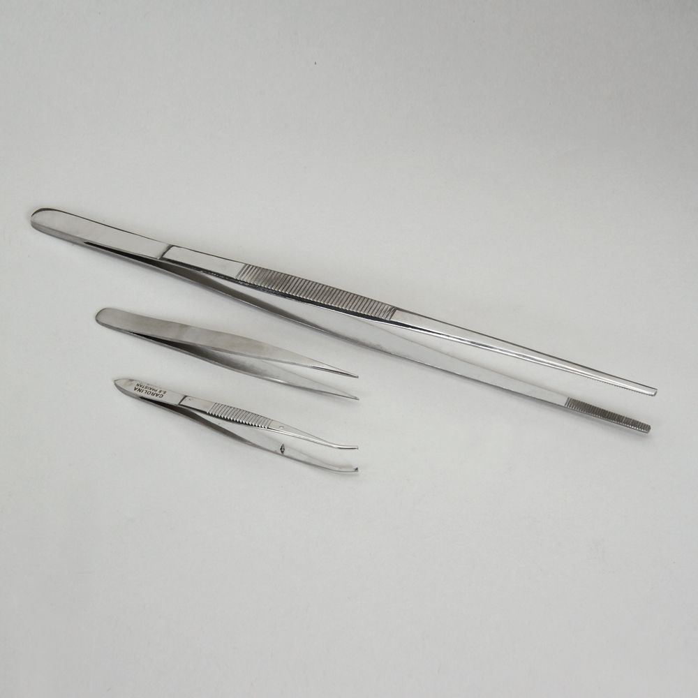 Forceps Set, Stainless Steel, for Plant Tissue Culture