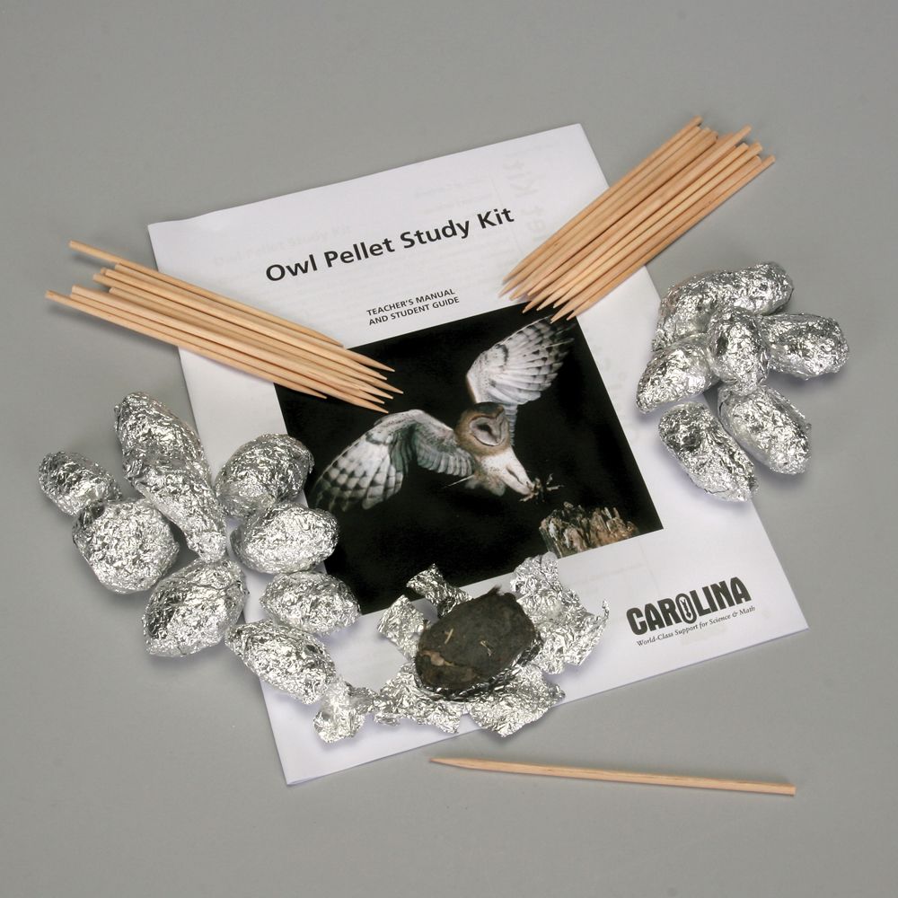 Owl Pellet Study Individual Student Kit