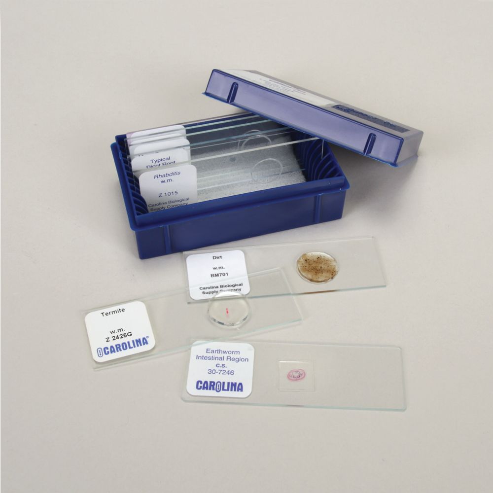 Life in the Soil Microscope Slide Set