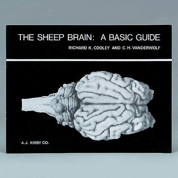 The Sheep Brain A Basic Guide Carolina The Sheep Brain A Basic Guide Carolina