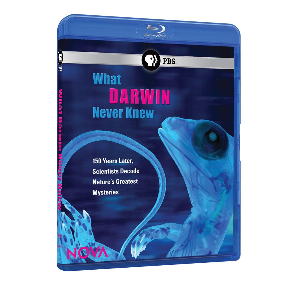 What Darwin Never Knew Pbs Nova Special NOVA What Darwin Never Knew DVD | Carolina.com