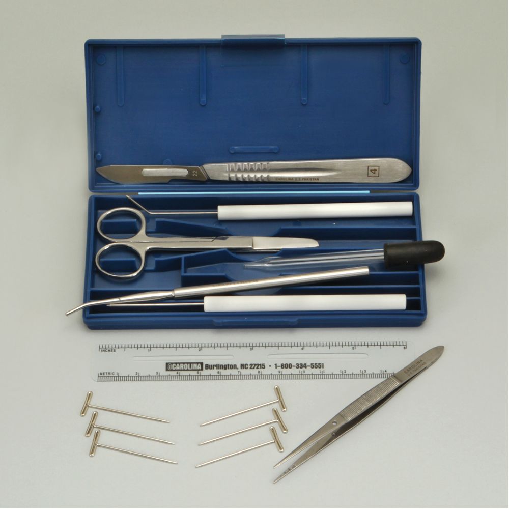 Intermediate Dissecting Set I, Molded Plastic Case