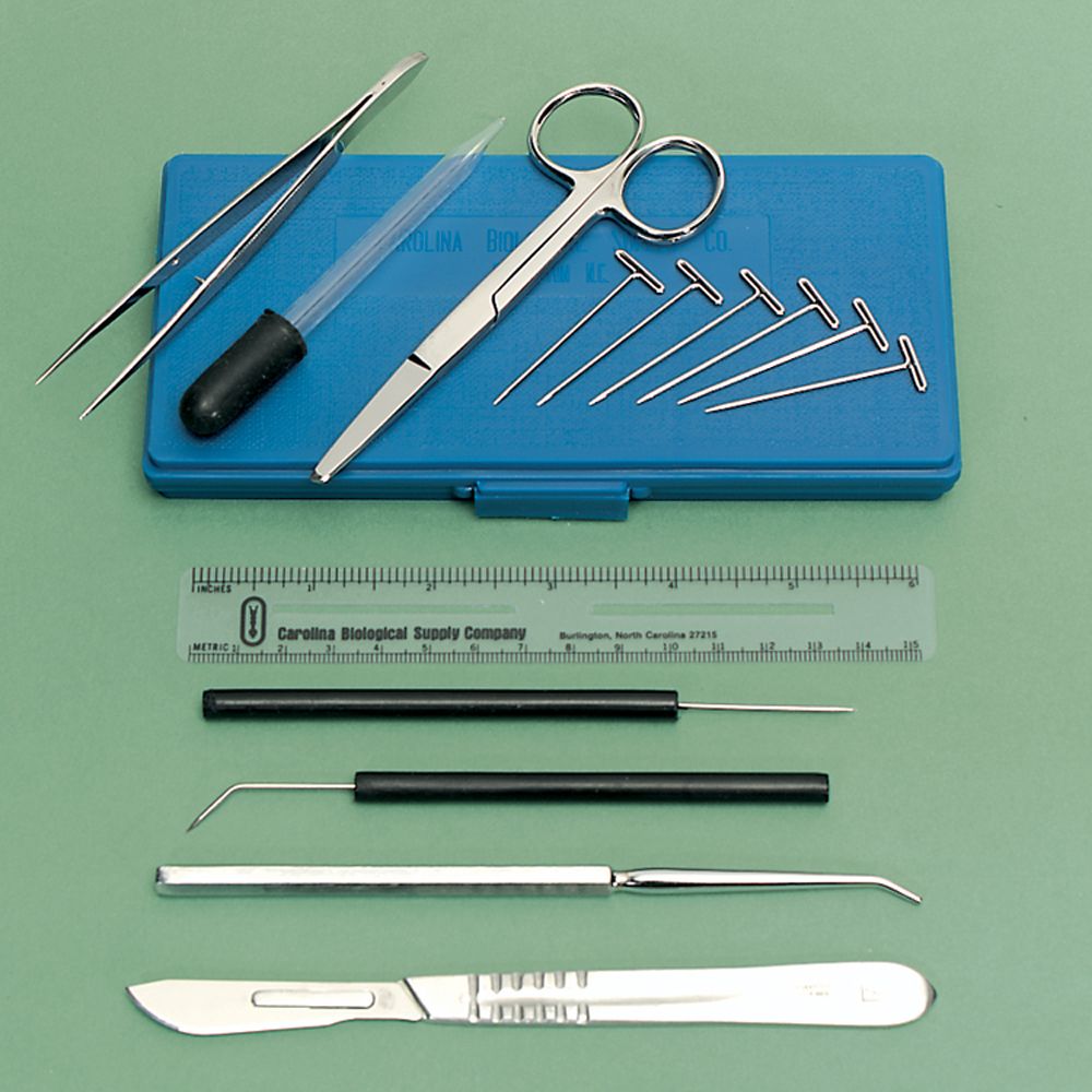 Intermediate Dissecting Set I