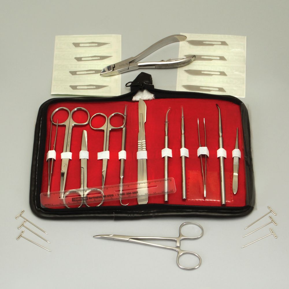 Carolina Advanced Anatomy Dissecting Set