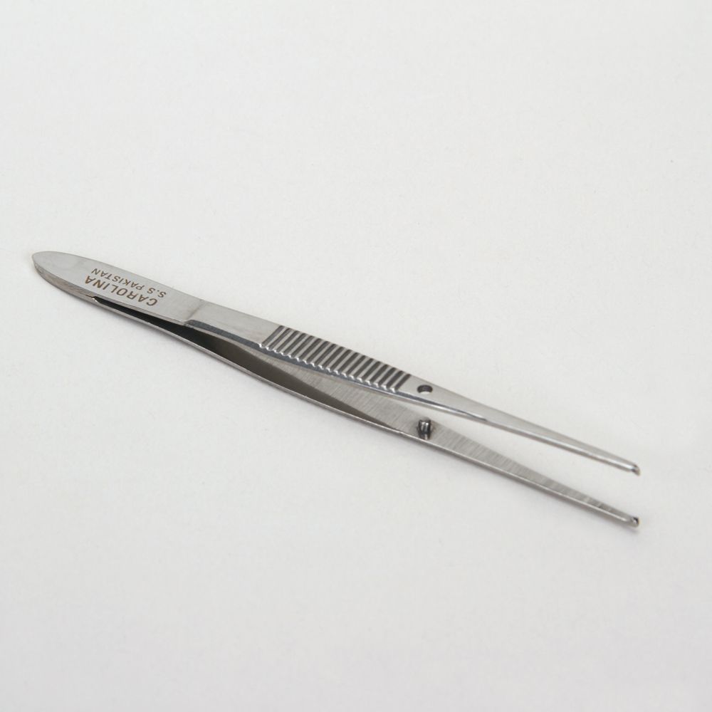 Fine Tissue Forceps, Stainless Steel, 1 x 2 Teeth, Straight, 4 in