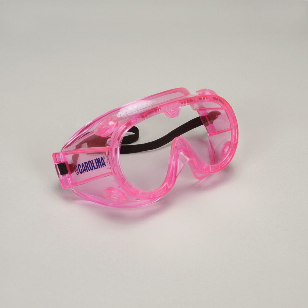 Safety Goggles, Large, Pink, Value Pack of 10