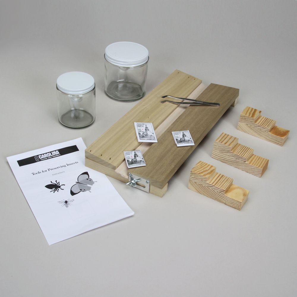 Insect Preparation Set