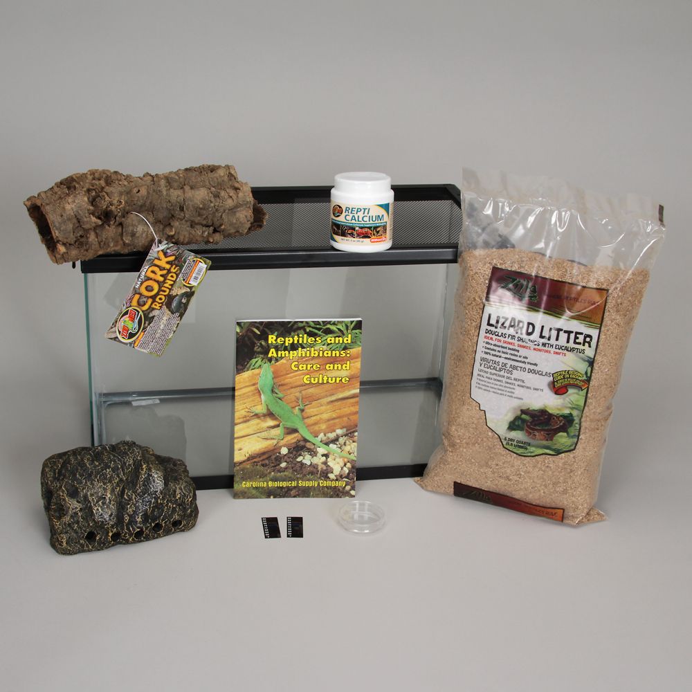 Deluxe Leopard Gecko Habitat Kit