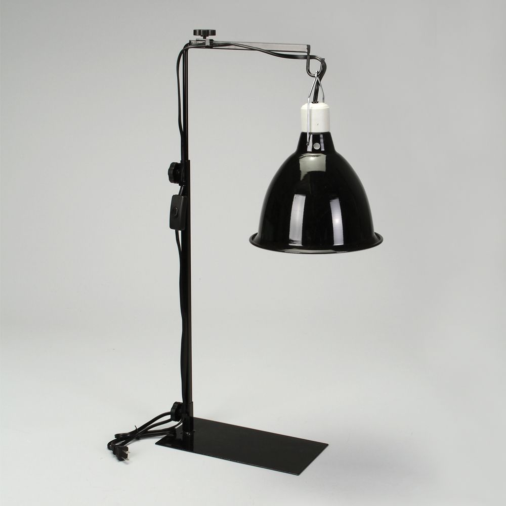 DeepDome Light Fixture