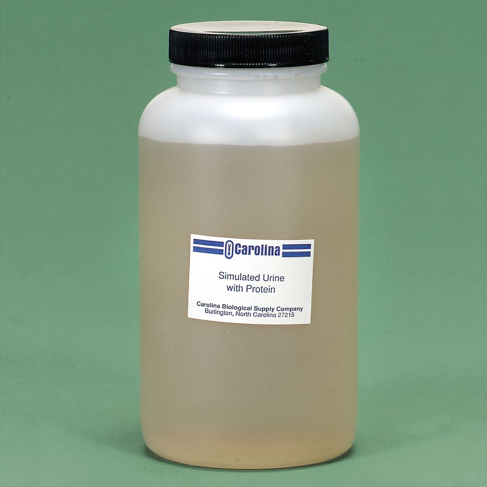 Simulated Urine with Protein