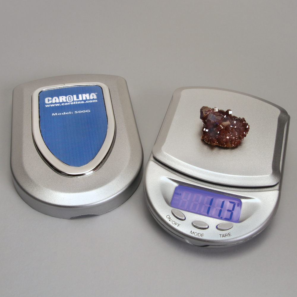 Carolina® Electronic Pocket Scales