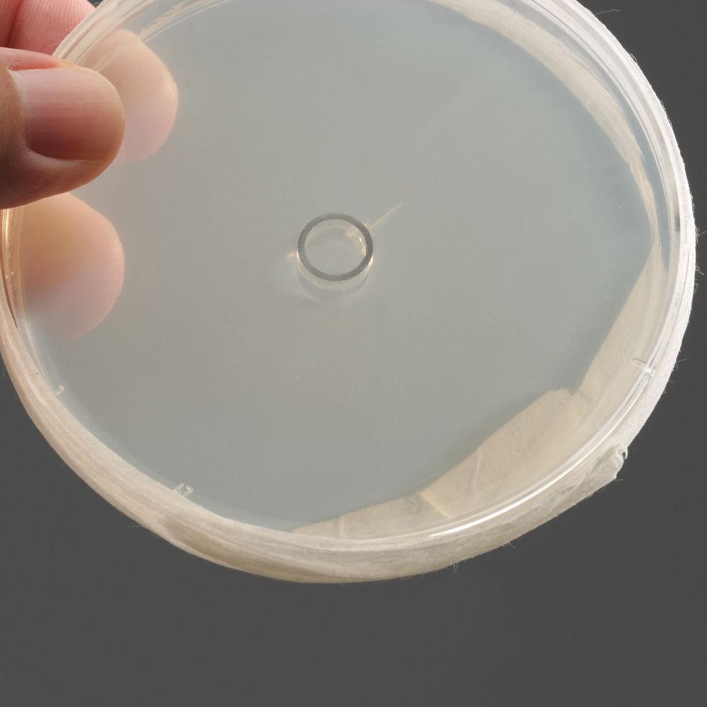 Cloning Cylinder, Pack of 25