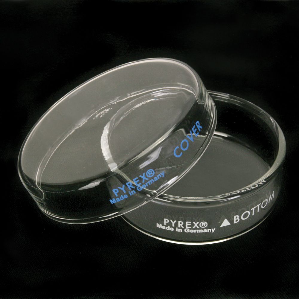 Pyrex®, Petri Culture Dish, 100 x 15 mm