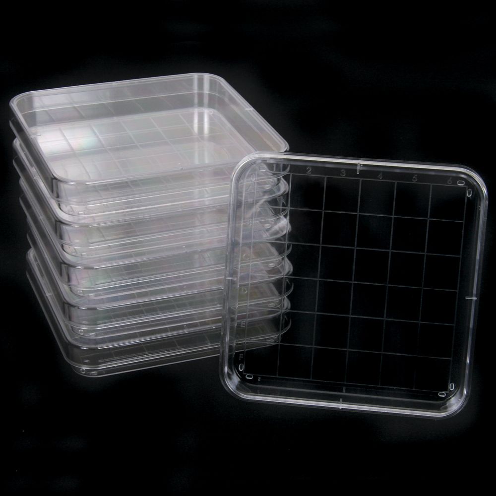 Polystyrene Square Integrid Petri Dish, Pack of 10 | Carolina.com