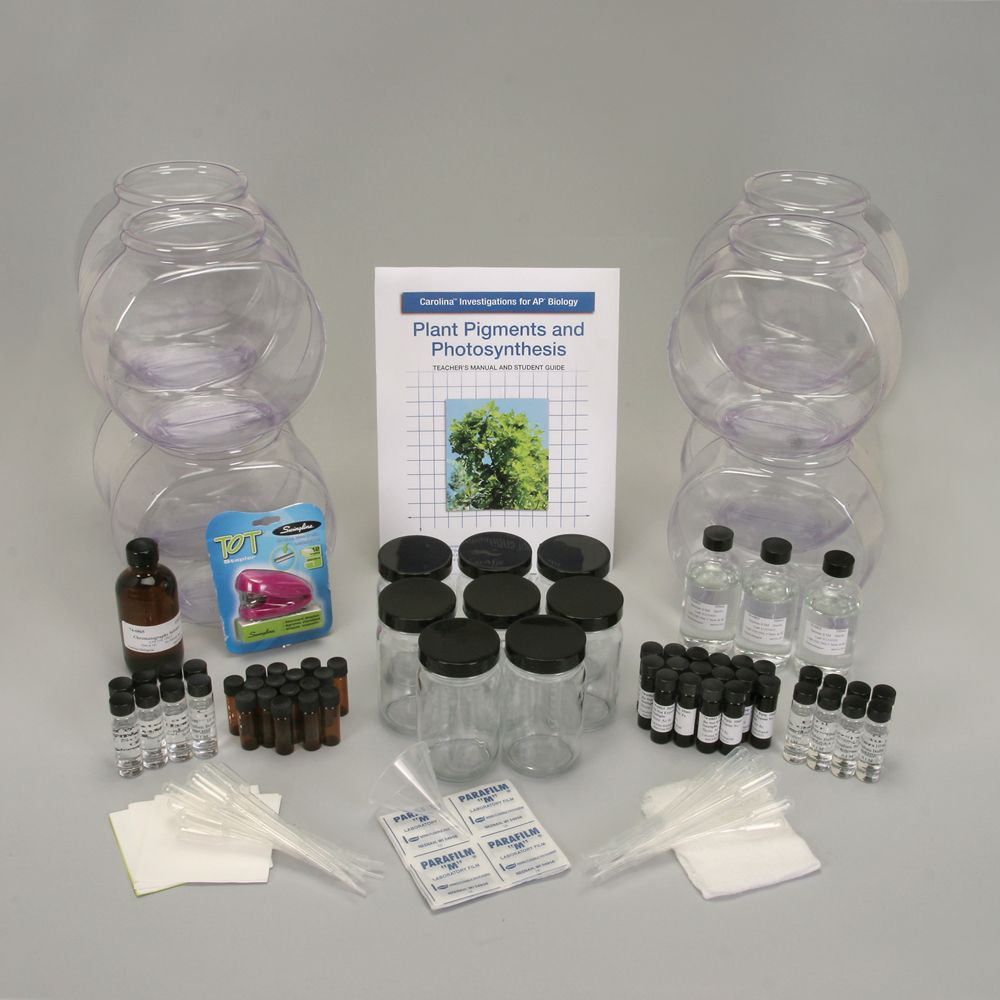 plant pigments and photosynthesis lab plant pigments and photosynthesis lab