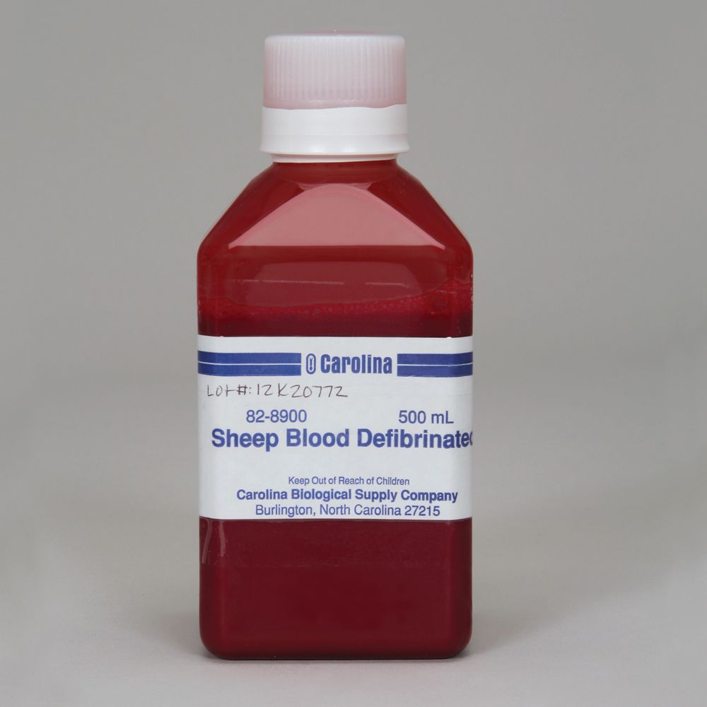 Sheep Blood, Defibrinated, Pooled, 500 mL