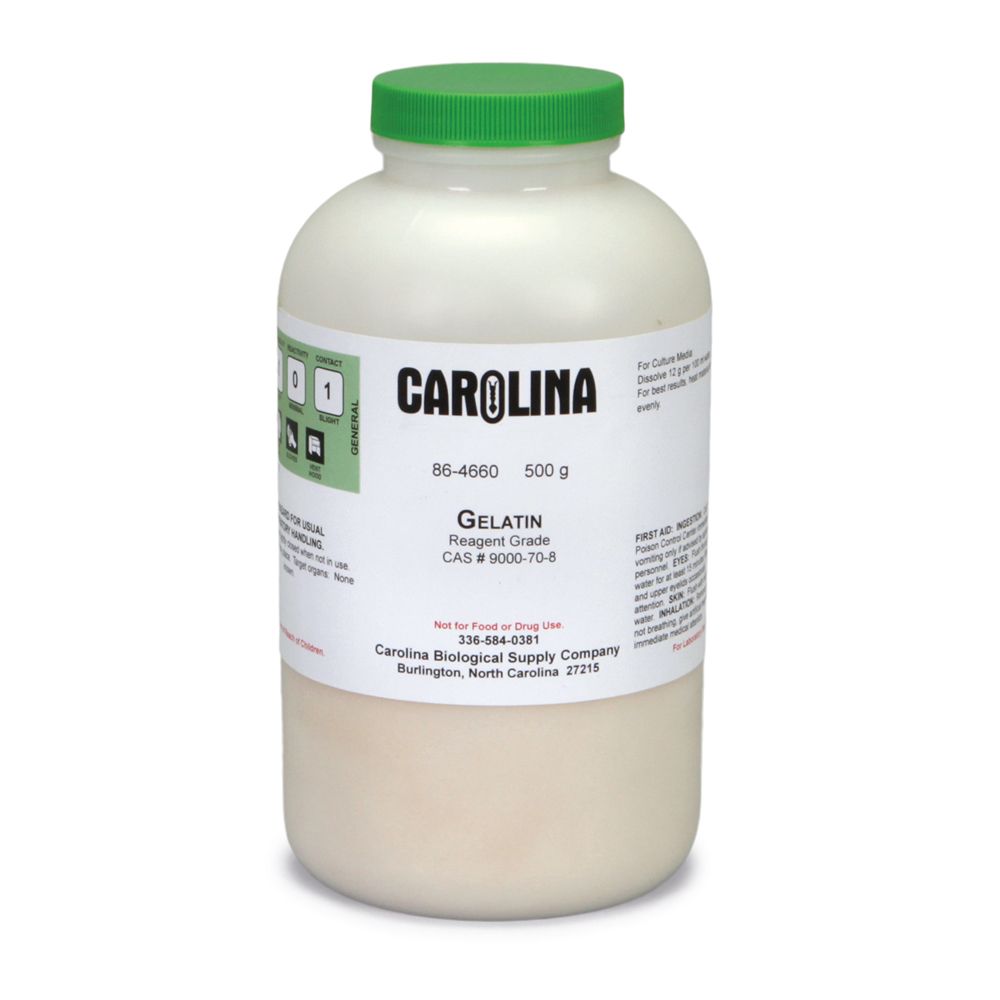 Gelatin, Granular, Reagent Grade, 500 g