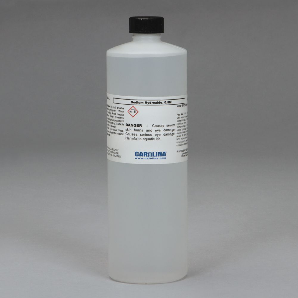 Sodium Hydroxide, 0.5 M (2), Aqueous, Laboratory Grade, 500 mL