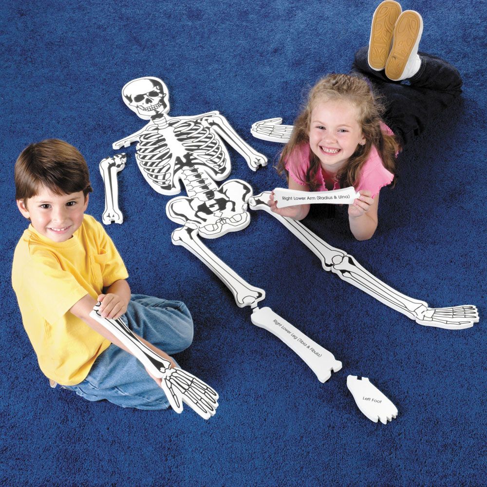 4ft Skeleton Floor Puzzle