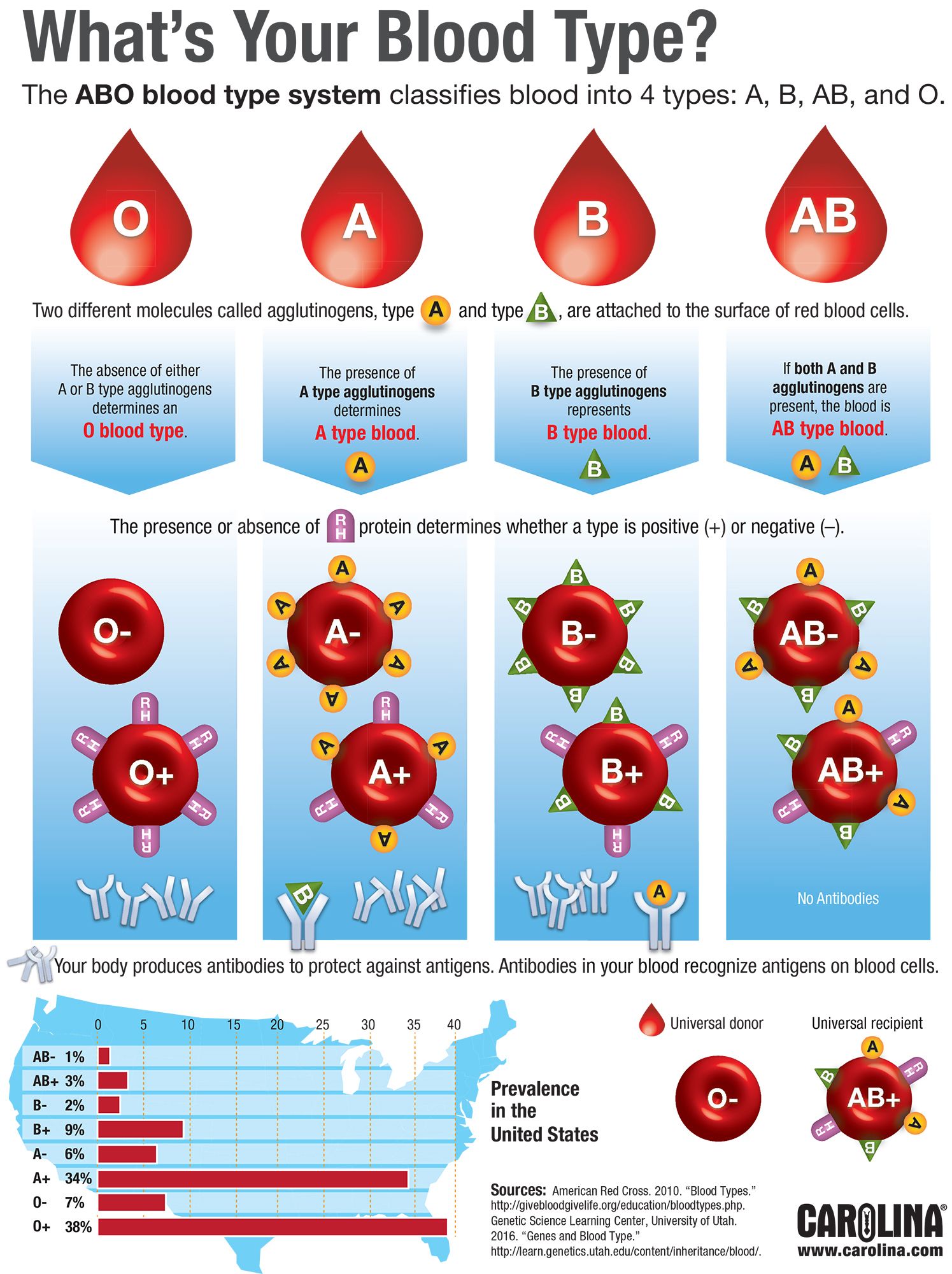 blood type clipart - photo #7