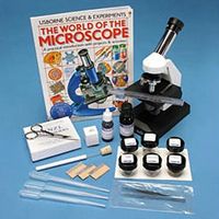 Fun with Your Microscope