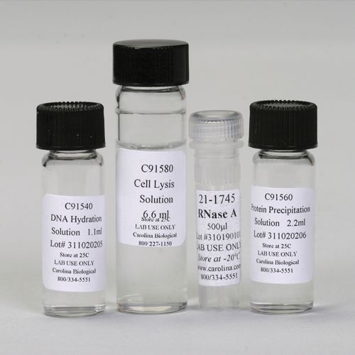 Biotechnology Chemicals Carolina Biological Supply