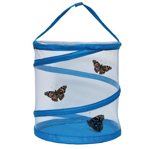Butterfly Habitats & Accessories Carolina Biological Supply