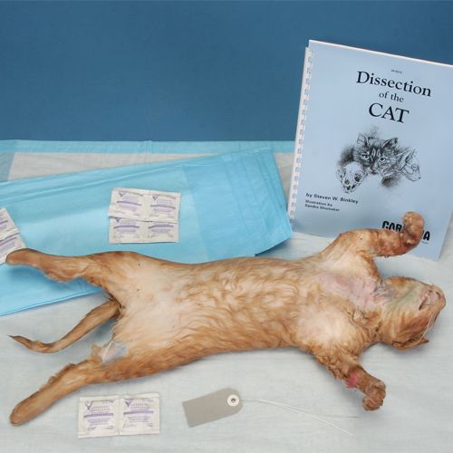 Dissection Kits