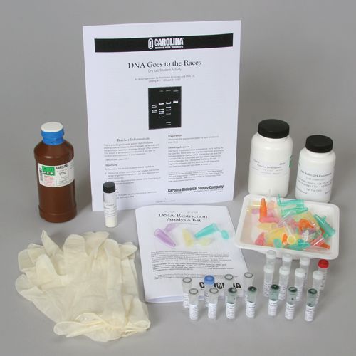 DNA Gel Electrophoresis Kits