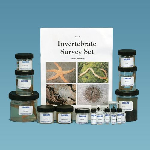 Invertebrate Dissection Kits