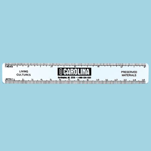 Lab Rulers
