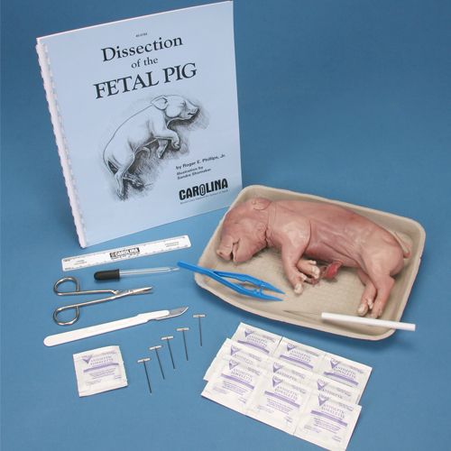 Pig Dissection Kits