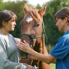Agricultural & Veterinary Science