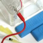 Fast and Easy: Materials for Popular Biology Labs