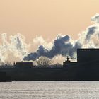 Pollution