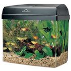 Aquarium Kits